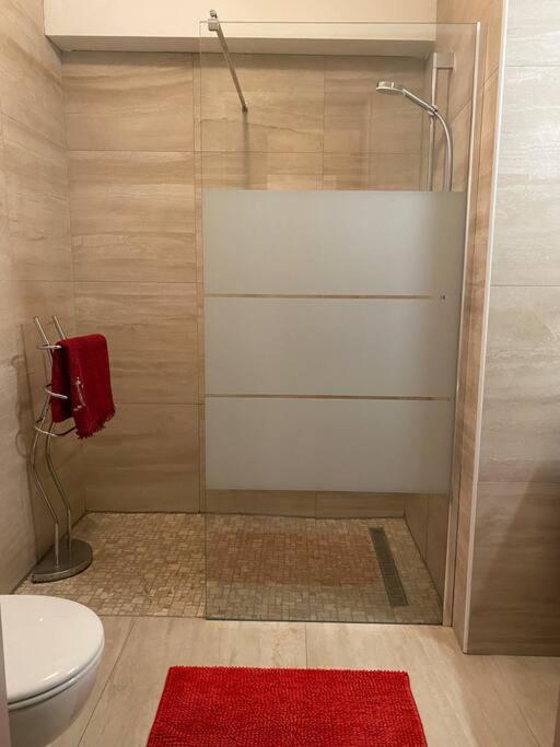 Charmant Appartement Renove Au Coeur Du Village Saint-Martin-Vésubie Kültér fotó